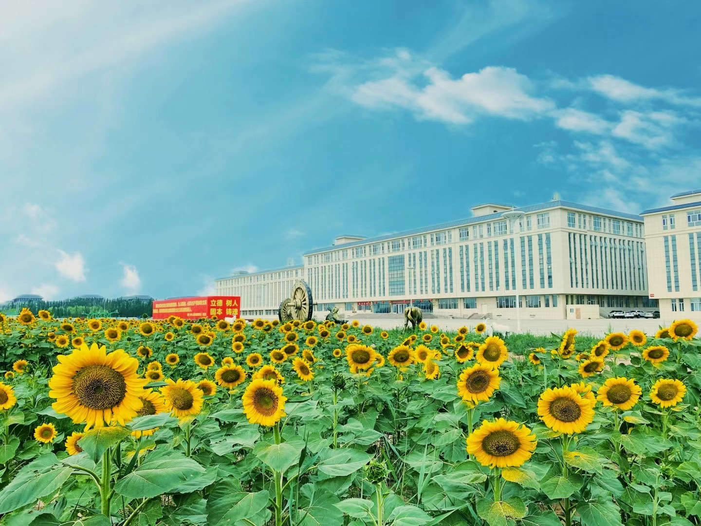 学院美景